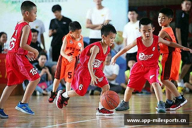 解读米乐m6体育
